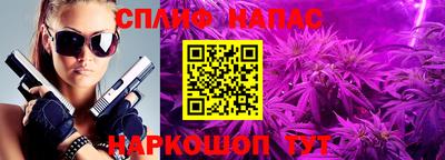 индика Заводоуковск