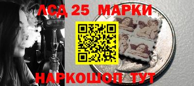 индика Заводоуковск