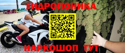 индика Заводоуковск