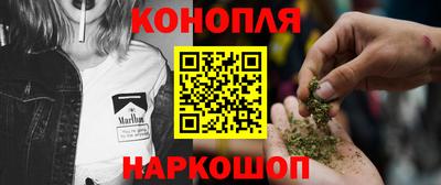 индика Заводоуковск