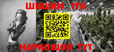 индика Заводоуковск