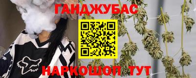 индика Заводоуковск