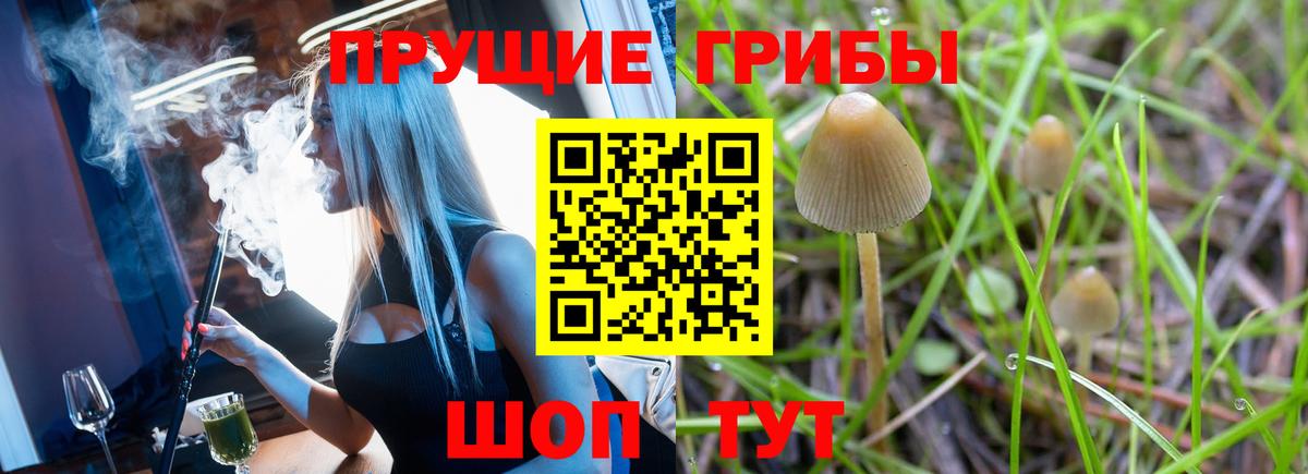 Галлюциногенные грибы Magic Shrooms Клин